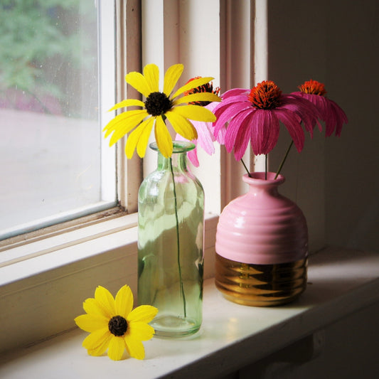 Coneflowers & Black-Eyed Susans