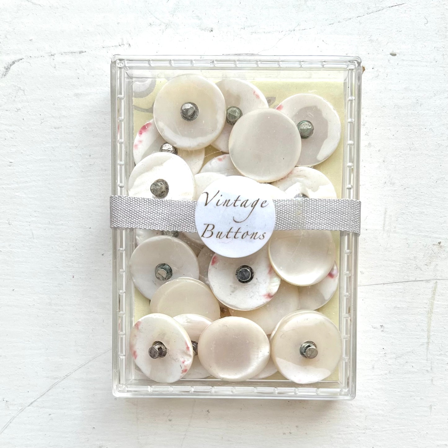 Shell Shank Buttons - Vintage