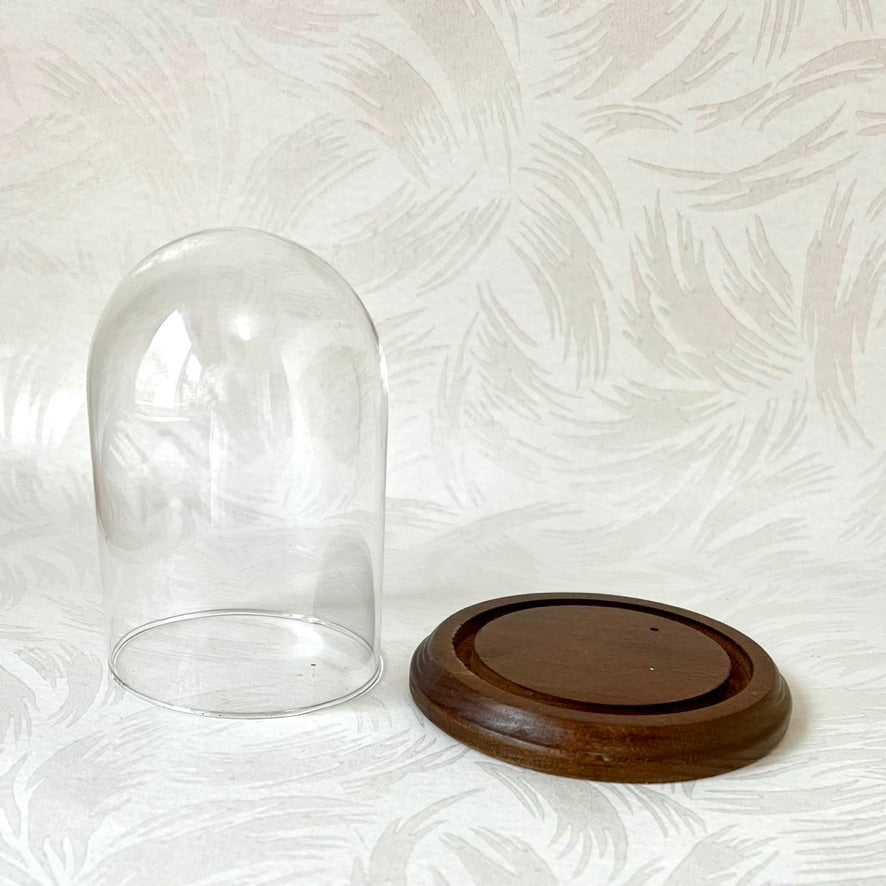 Glass Display Dome with Wood Base