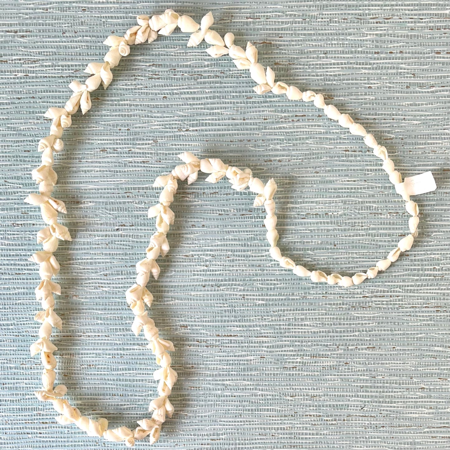 Sea Shell Necklace