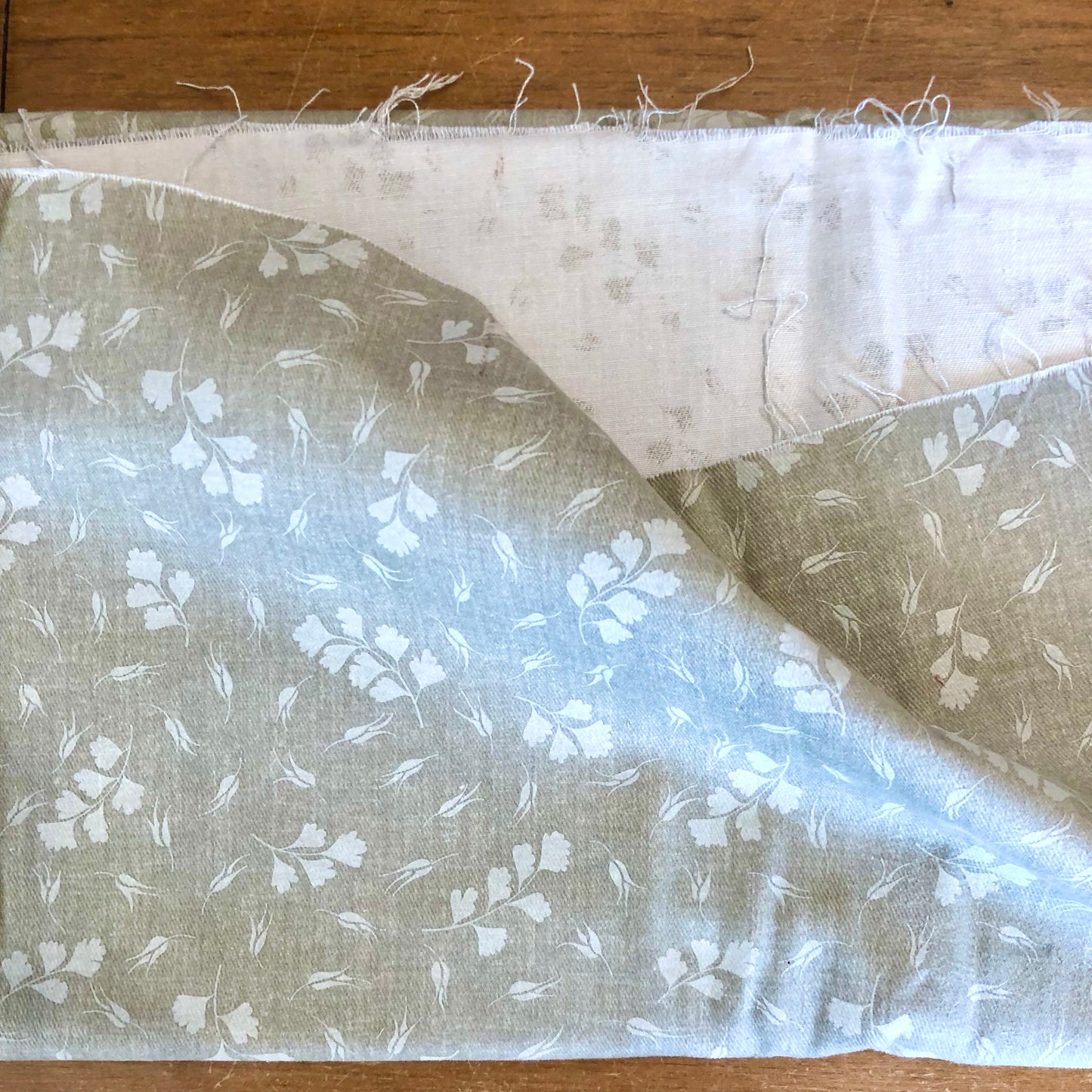 Scattered Ginkgo Leaves on Brushed Denim Fabric - Vintage