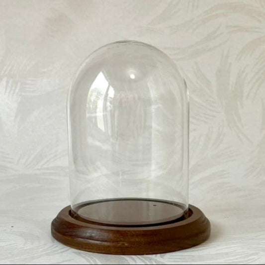 Glass Display Dome with Wood Base