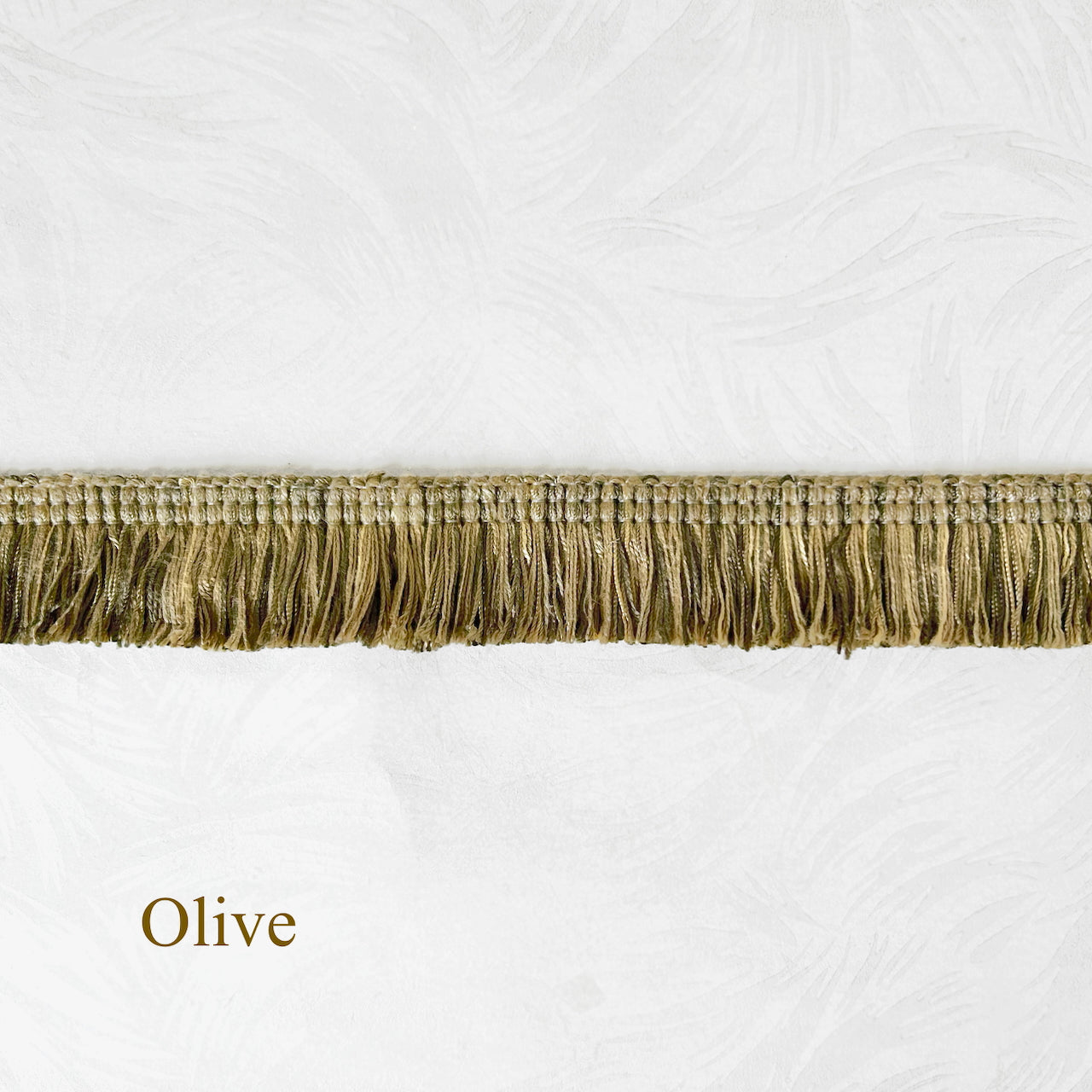 Alfanzo_Thick_Brush_Fringe