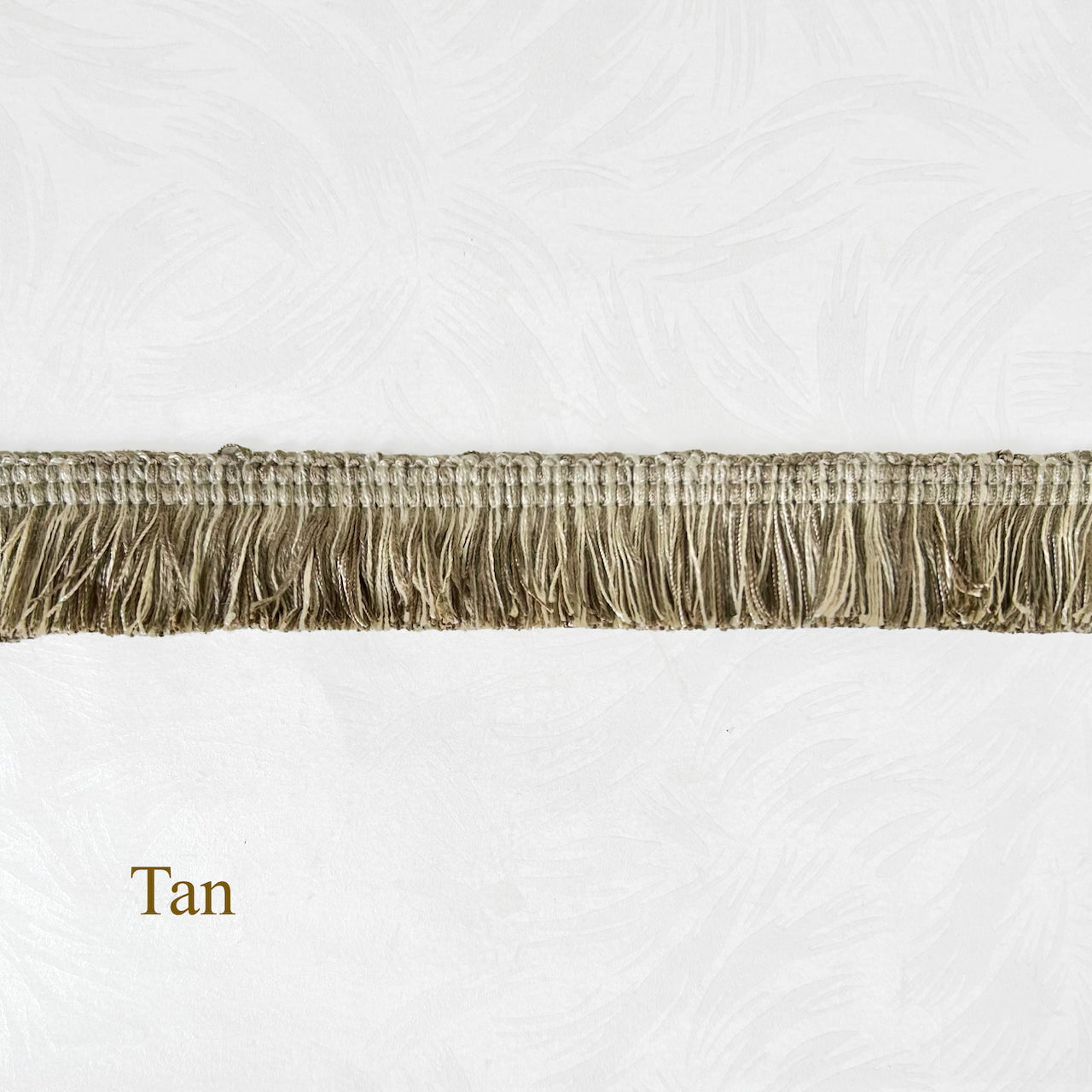 Alfanzo_Thick_Brush_Fringe