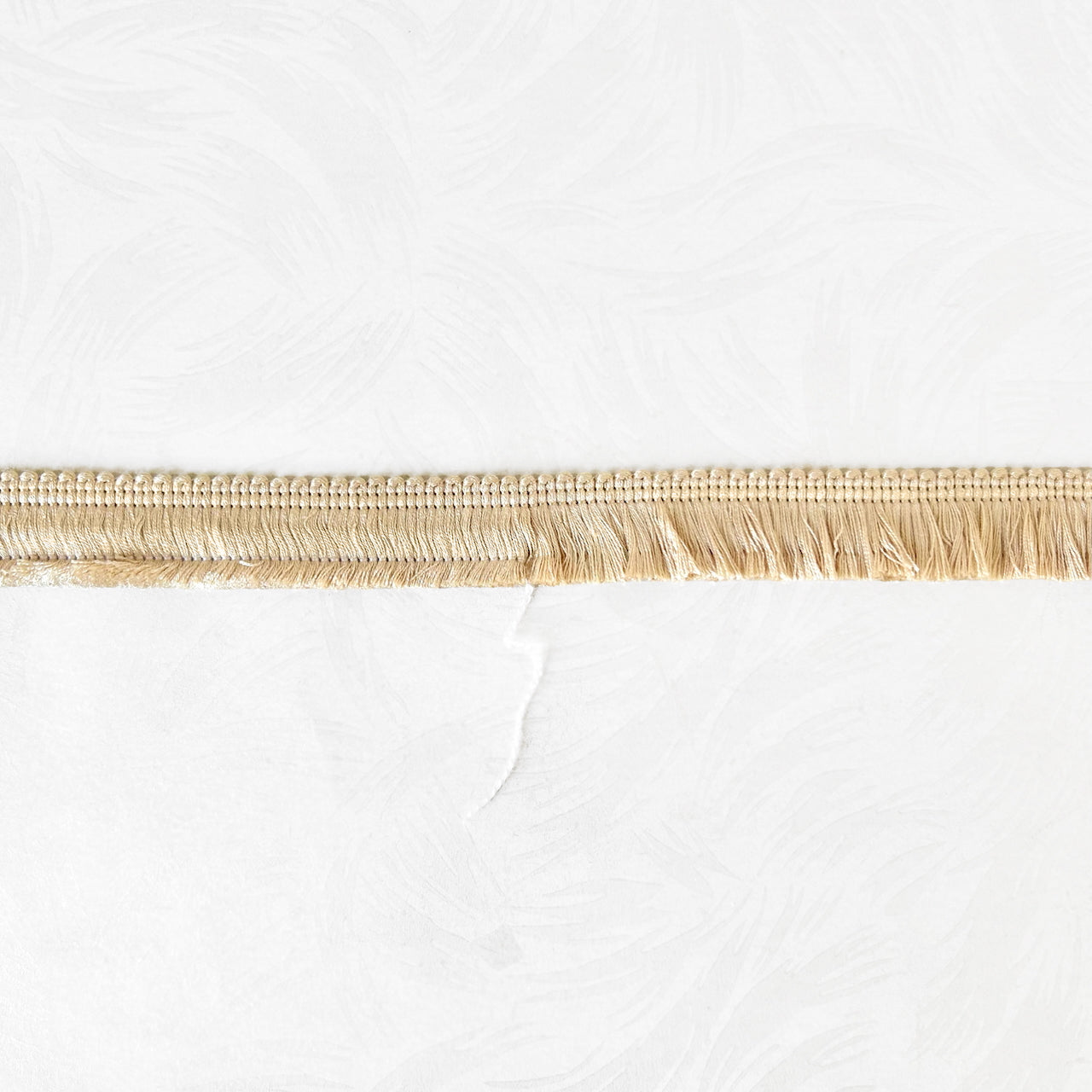 Brush_Fringe