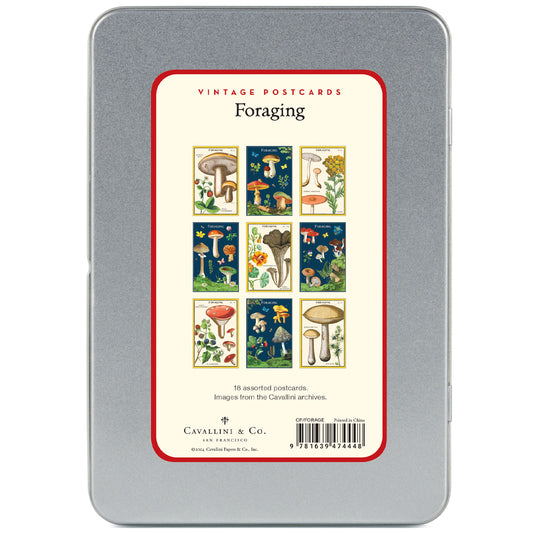 Foraging Postcards Set