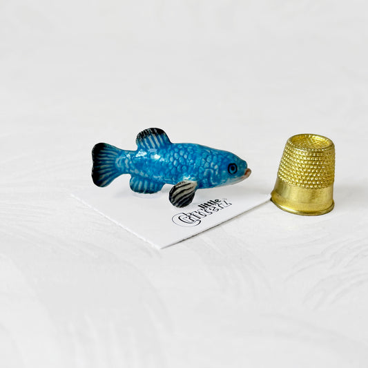 Devils_Hole_Pupfish_Porcelain_Critter