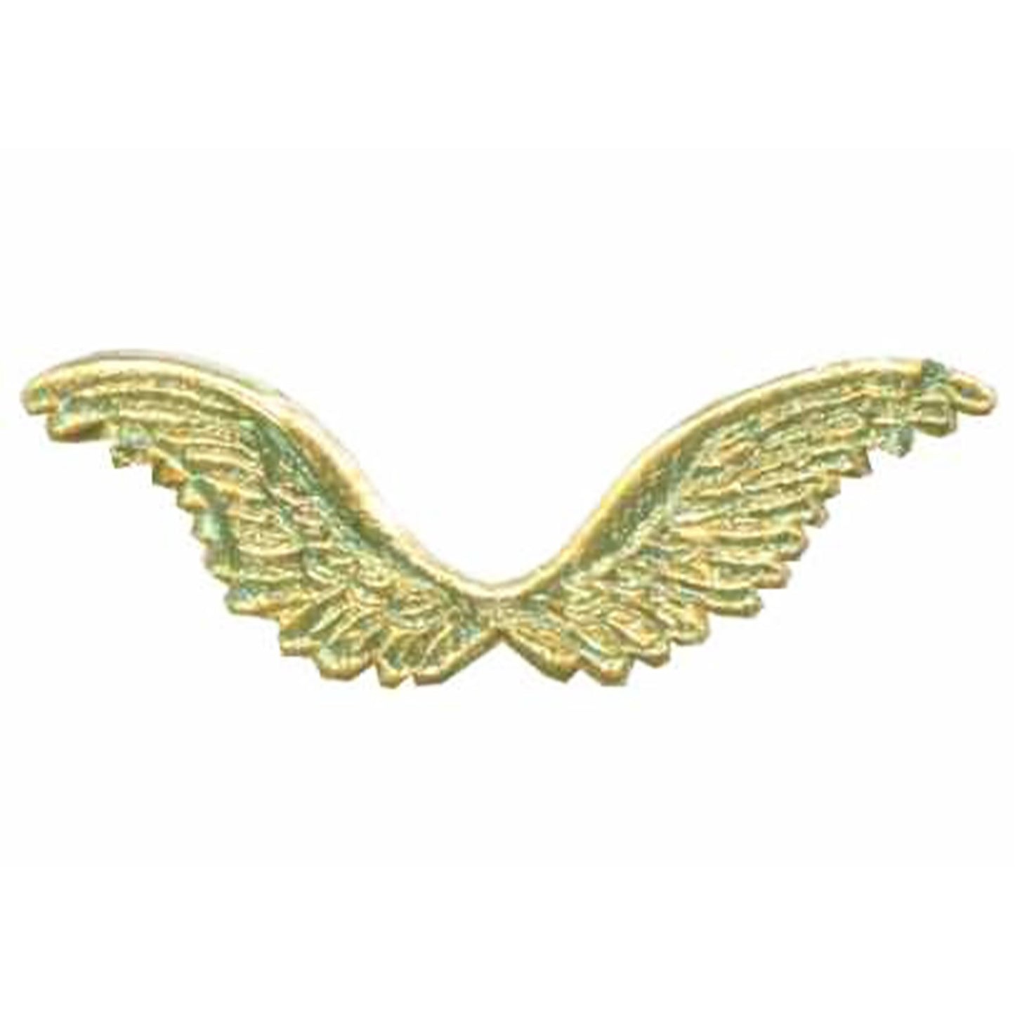 Dresden_Wings