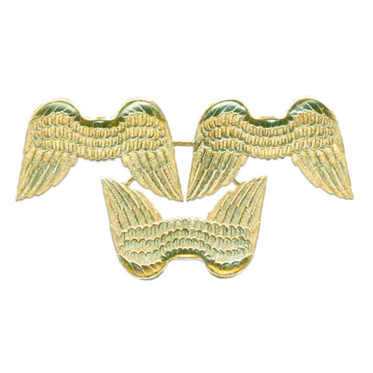 Dresden_Wings