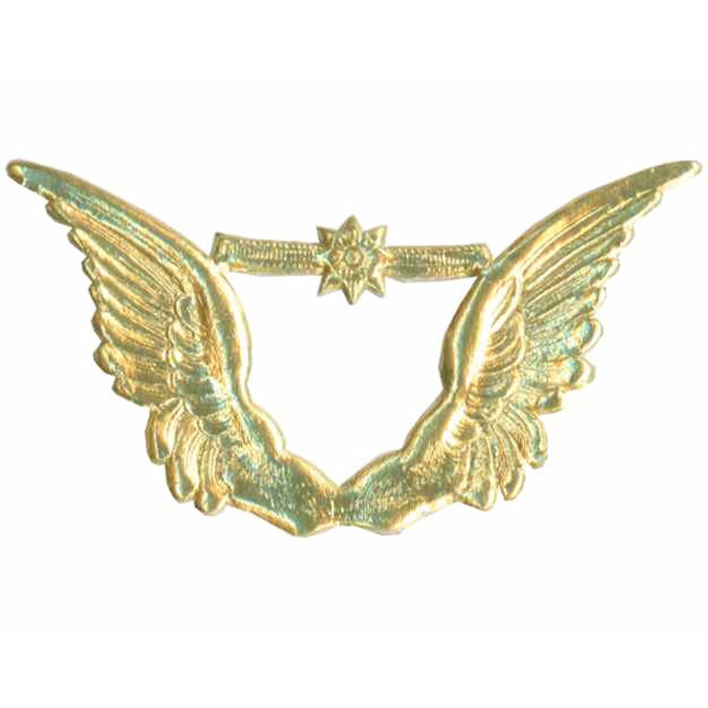 Dresden_Wings