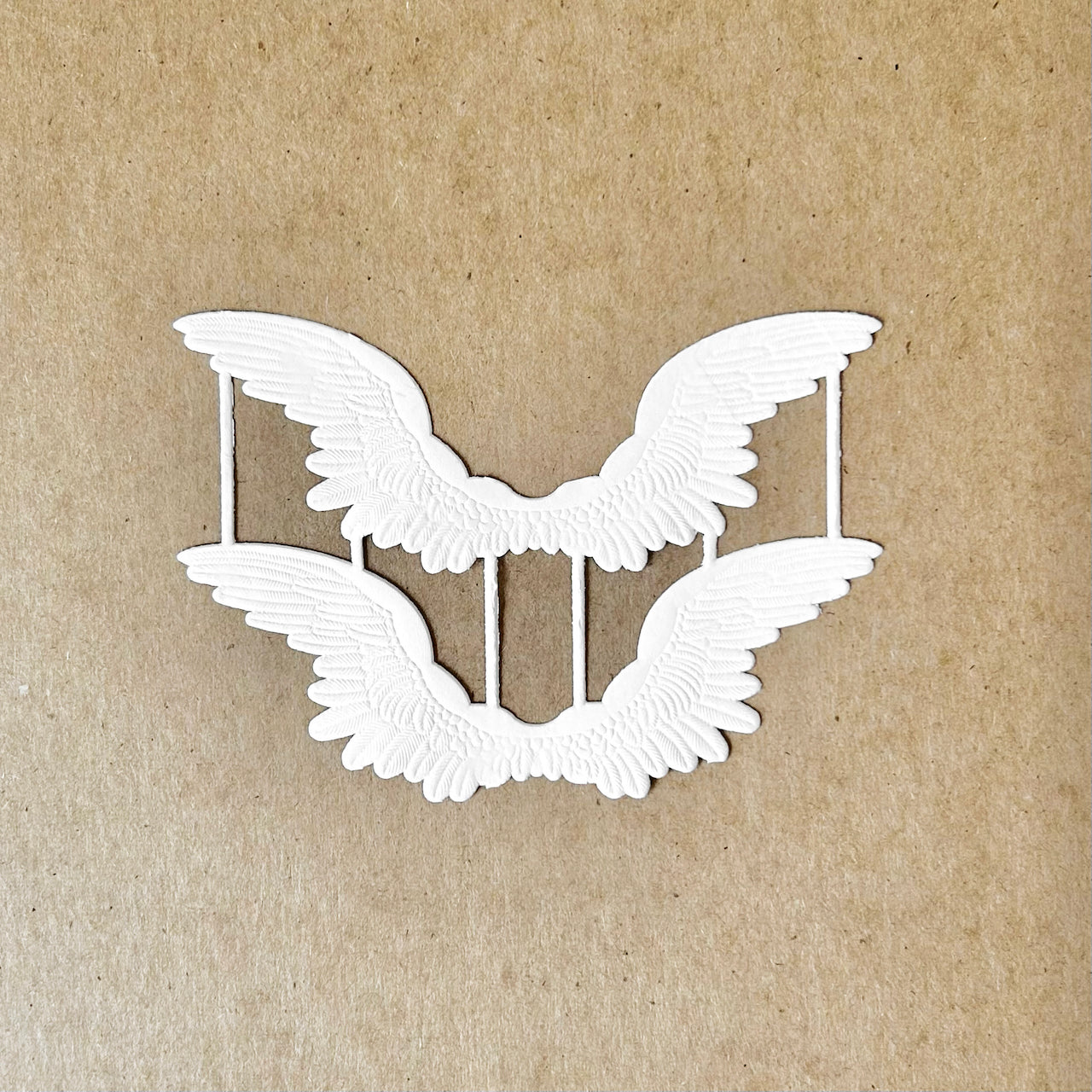 Dresden_Wings_in_Flight