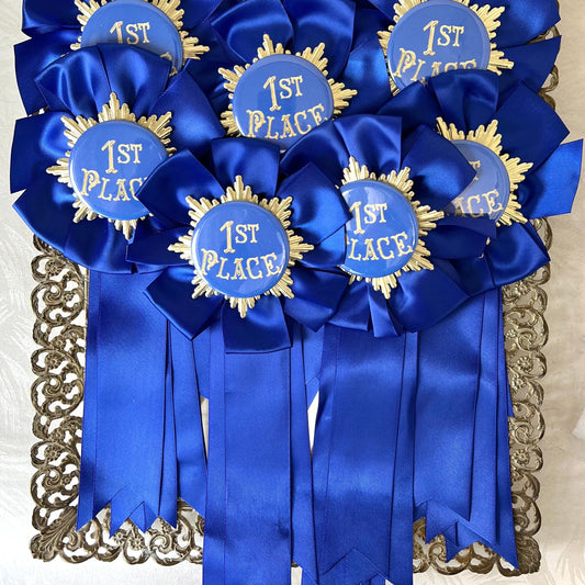 First Place Blue Ribbon Award