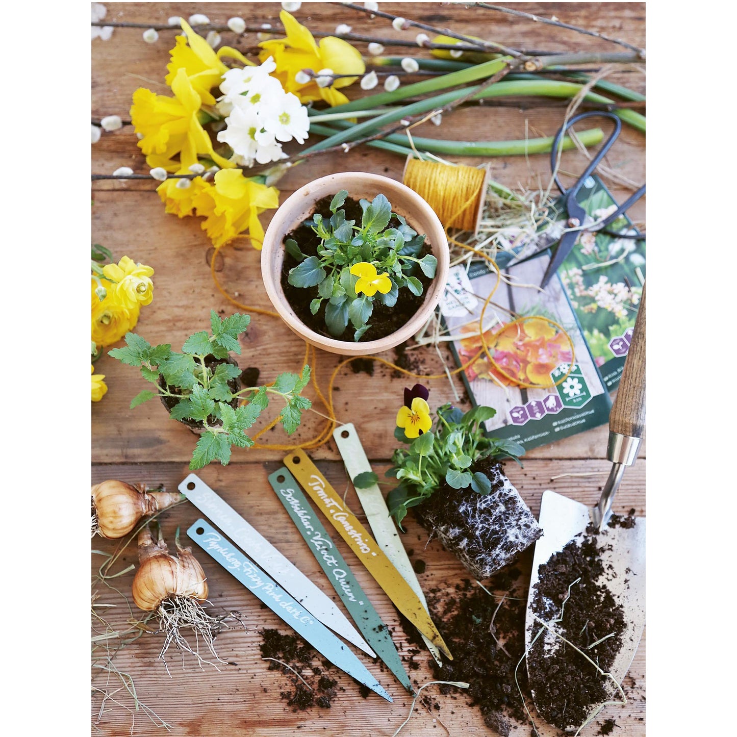 Jeanne d'Arc Living - Back Issue #3, 2024