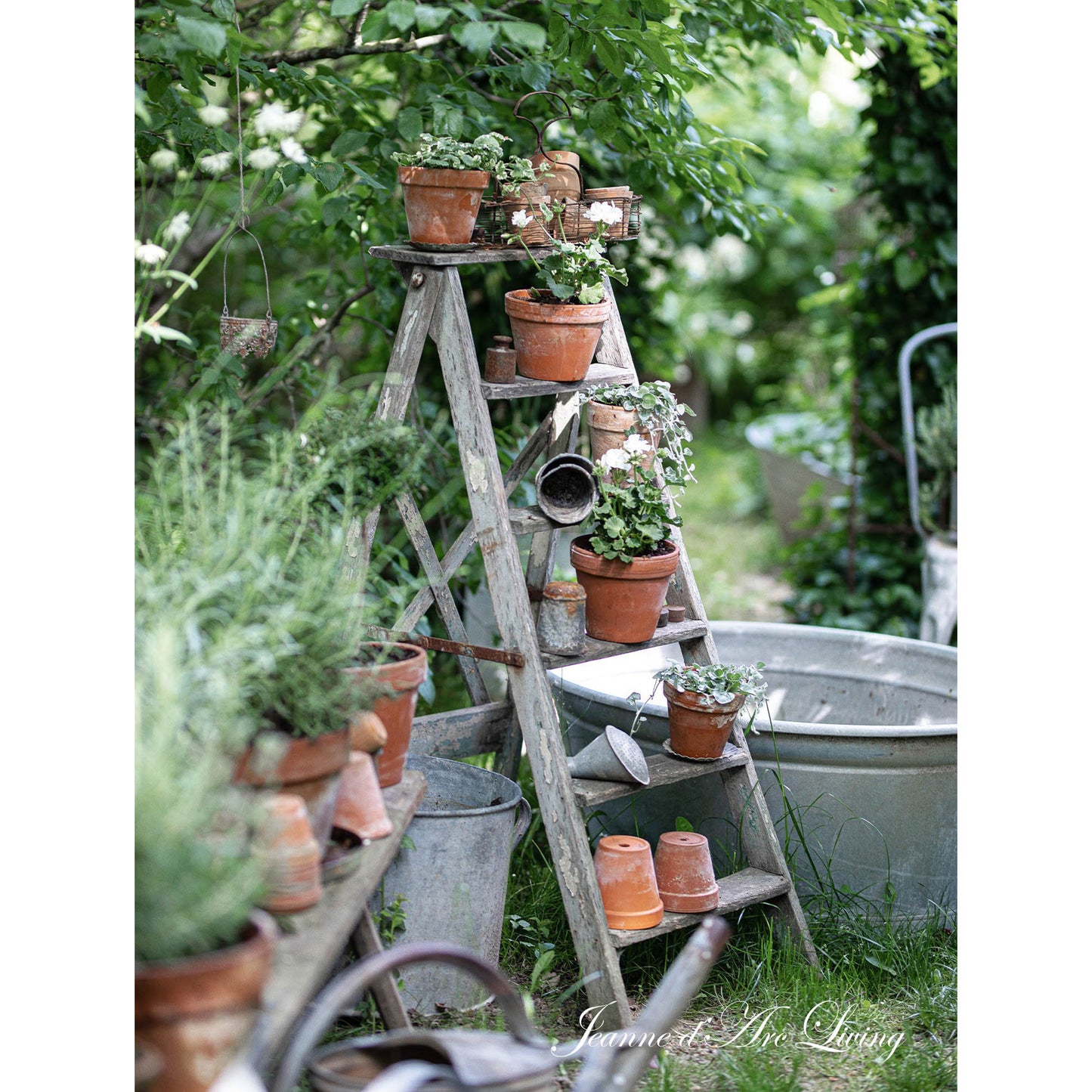 Jeanne d'Arc Living - Back Issue #6, 2024