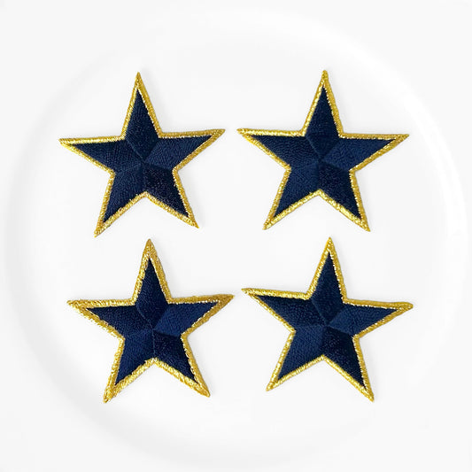 Embroidered_Metallic_Border_Str_Applique