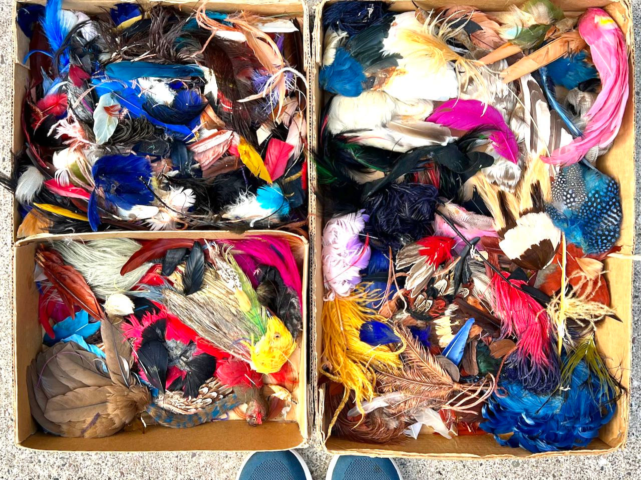 Large Box of Millinery Feathers