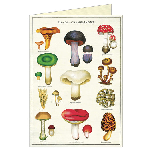 Fungi_Champignons_Greeting_Card