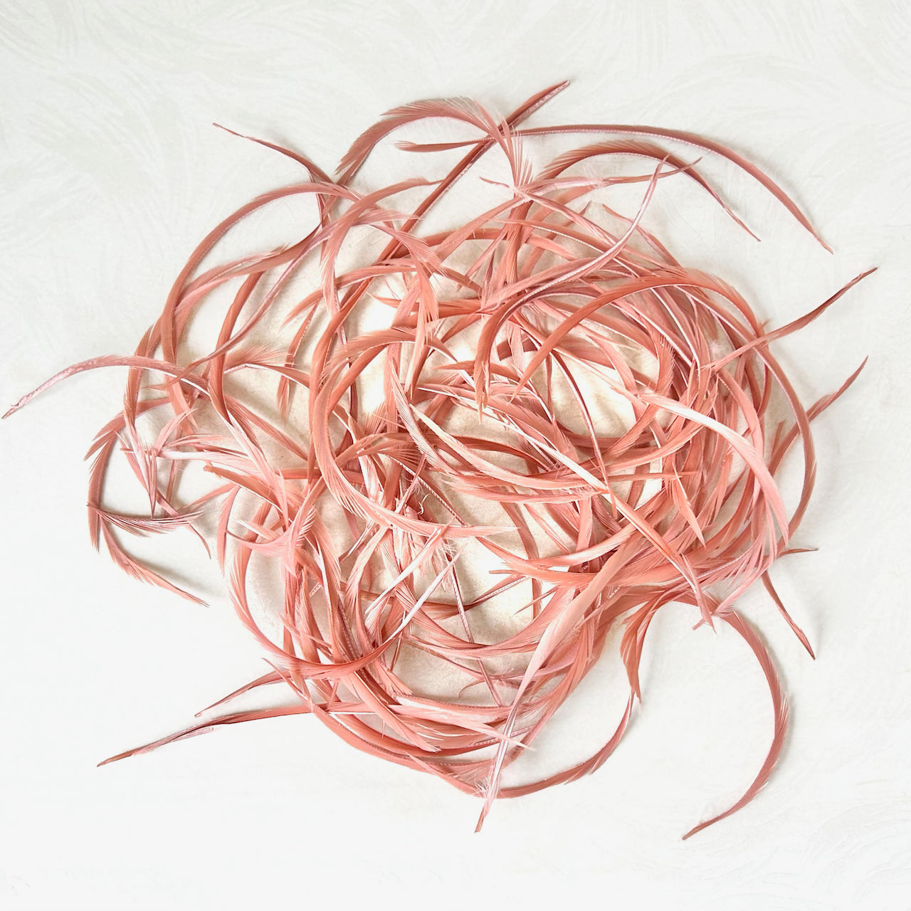 Goose_Feather_Biots