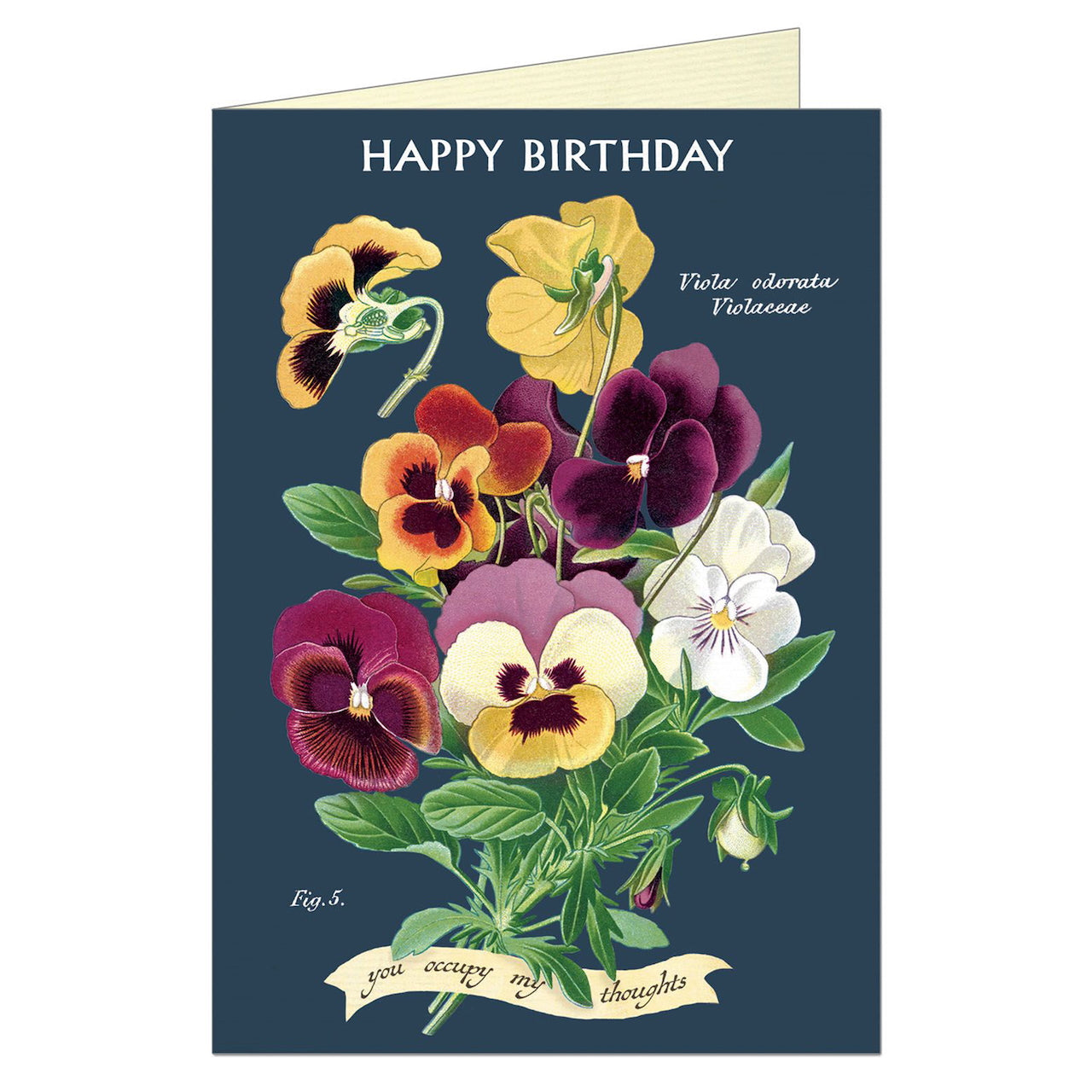 Happy_Birthday_Violet_Greeting_Card