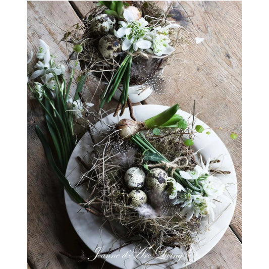 Jeanne d'Arc Living - Issue #2, 2026