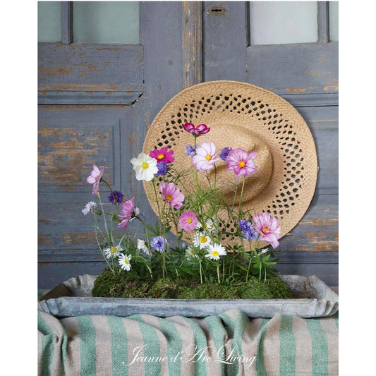 Jeanne d'Arc Living - Issue #5, 2026