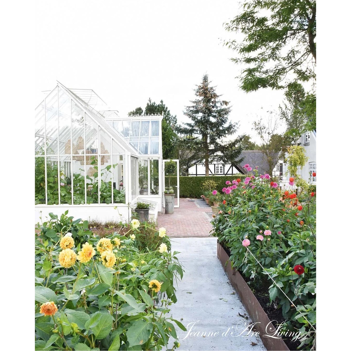 Jeanne d'Arc Living - Issue #6, 2025