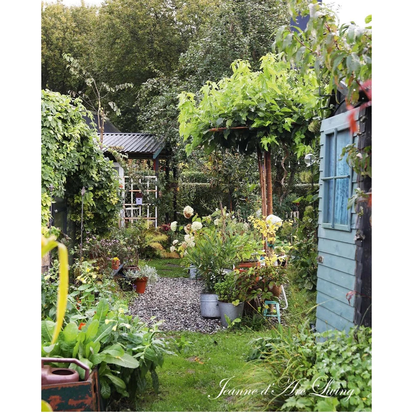 Jeanne d'Arc Living - Issue #6, 2025