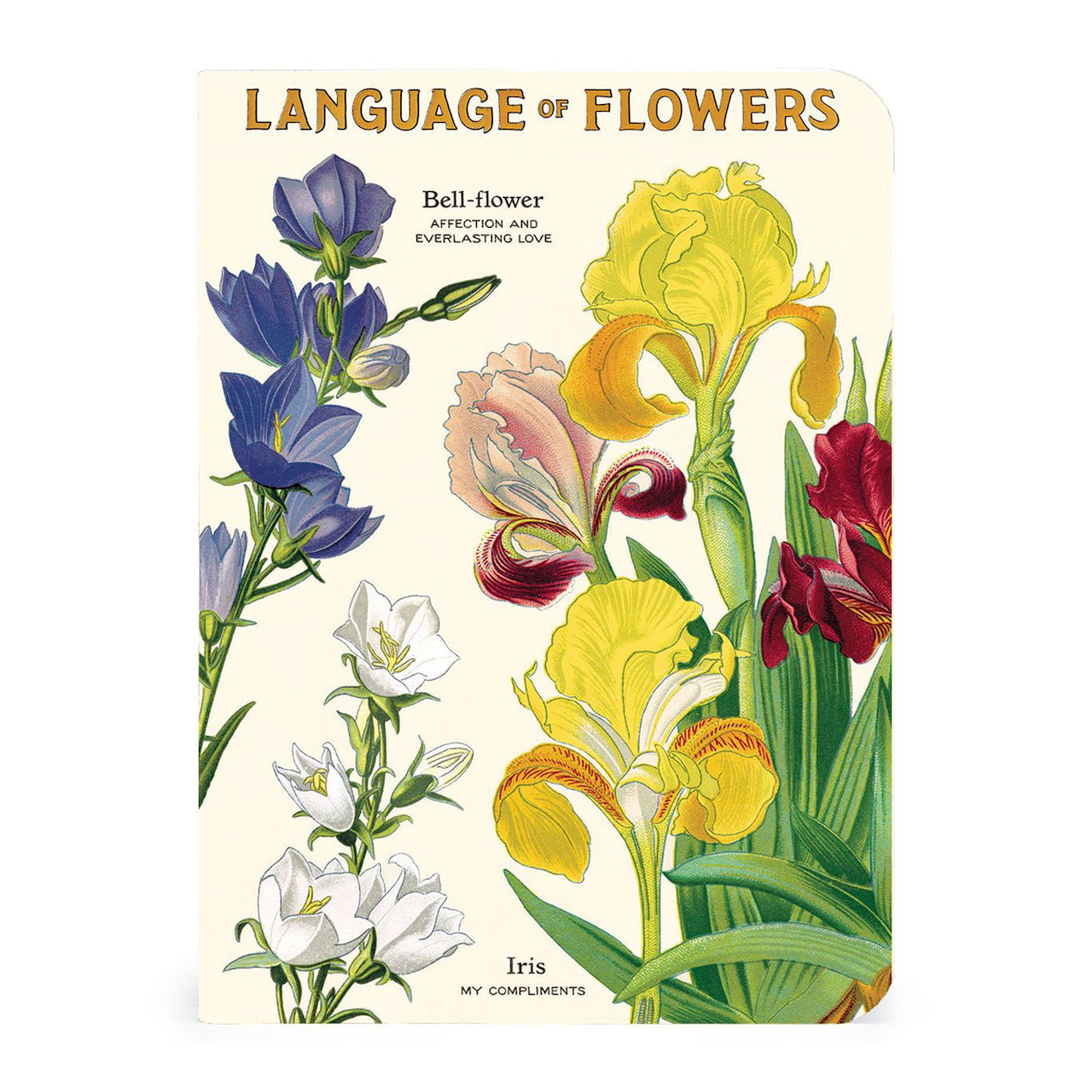 Language_of_Flowers_Mini_Notebook_Set