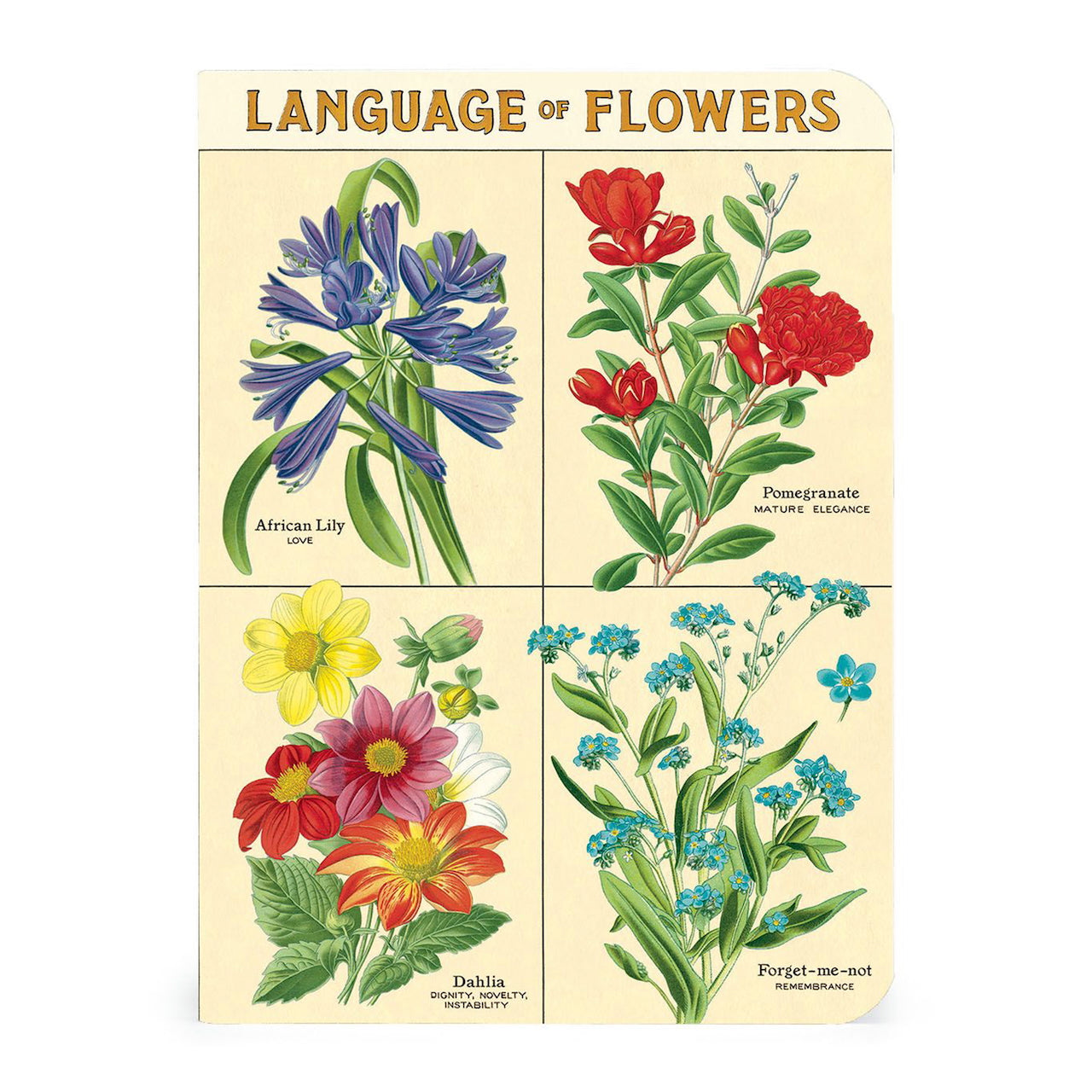 Language_of_Flowers_Mini_Notebook_Set
