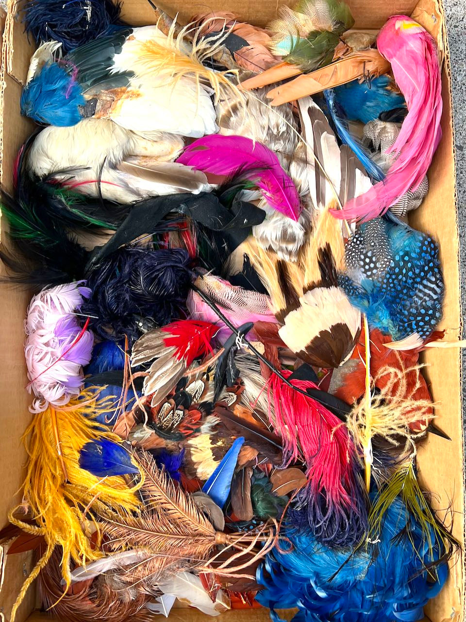 Large Box of Millinery Feathers