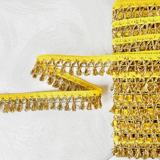 Metallic_Loop_Fringe