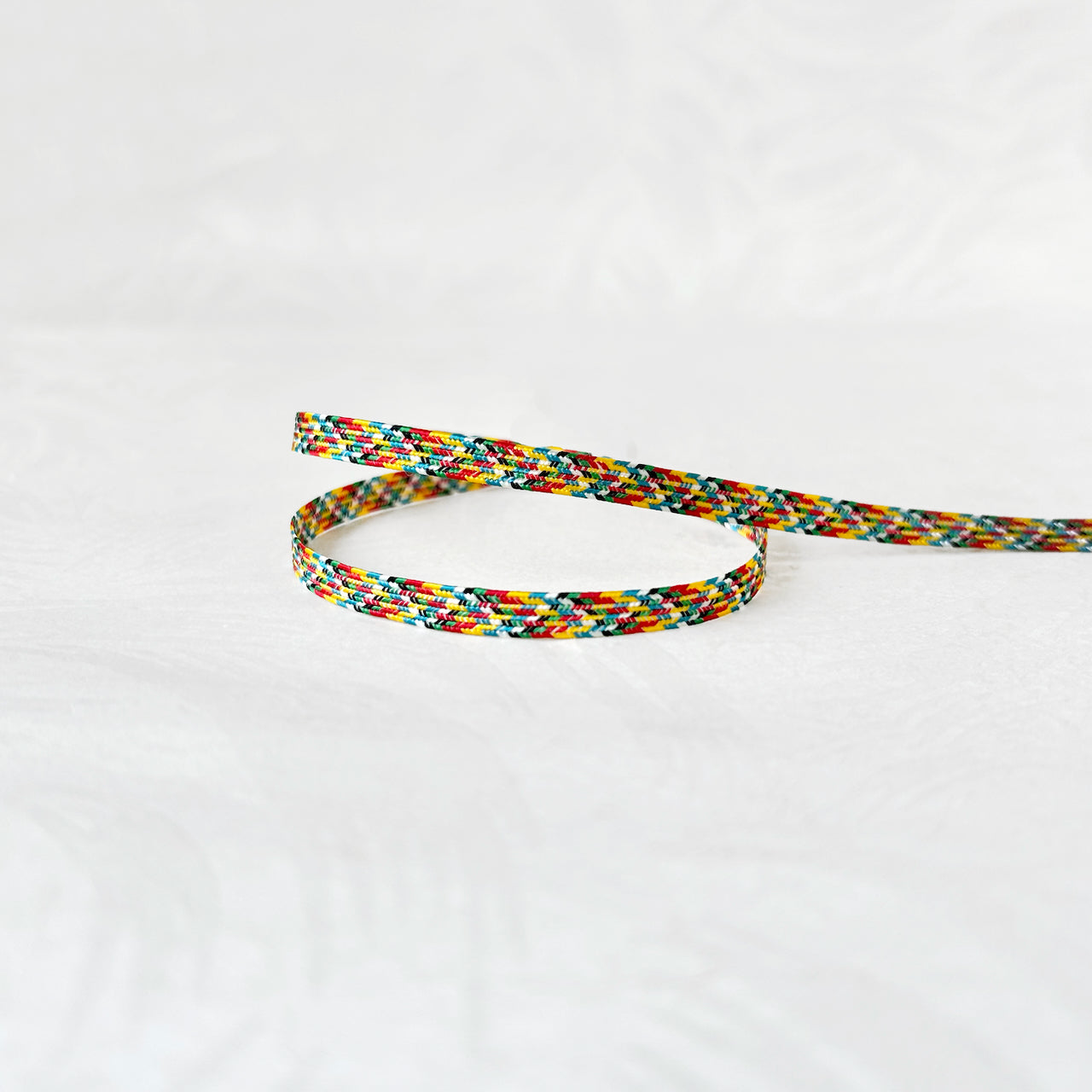 Multicolor_Middy_Braid
