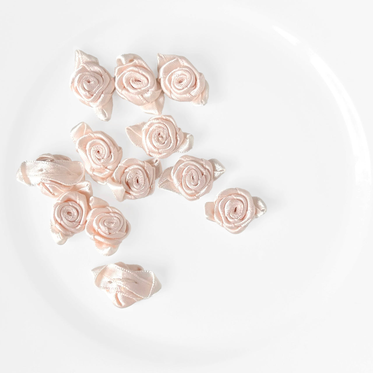 Powder_Pink_Ribbon_Rose