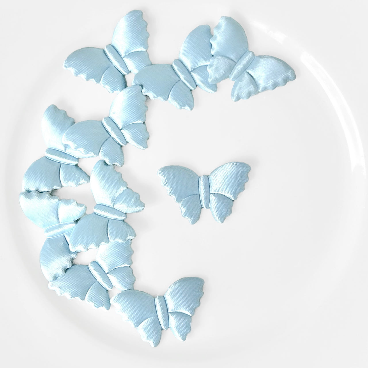 Satin_Puffy_Moth_Applique