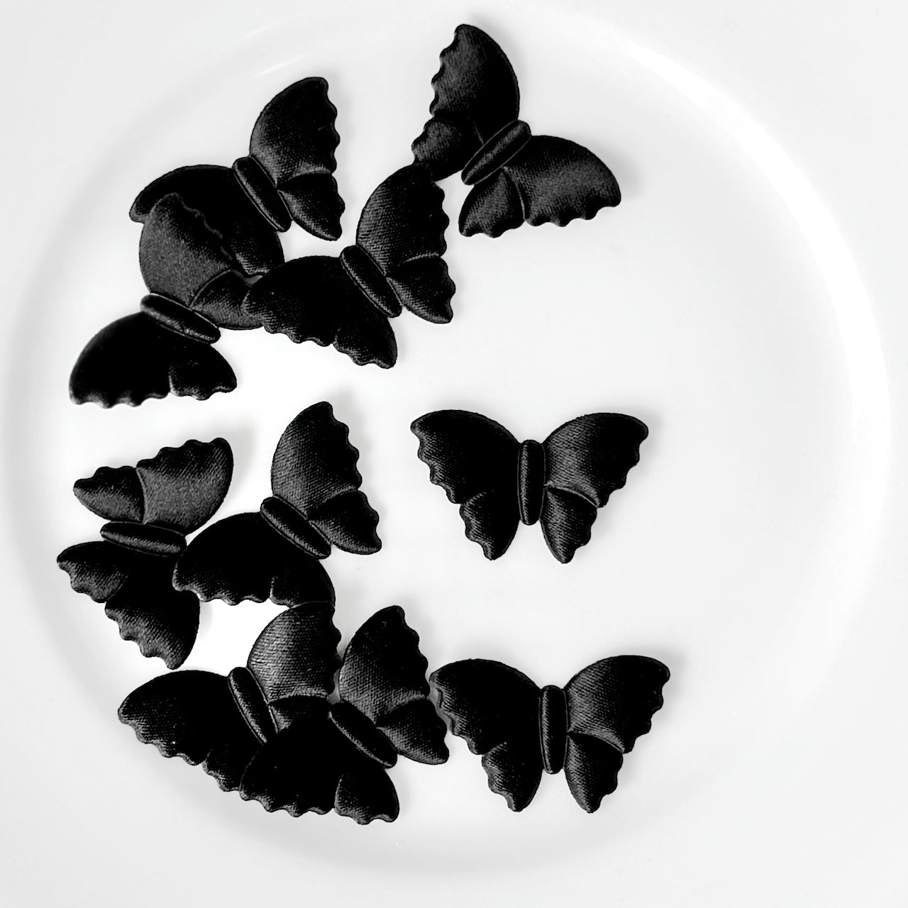 Satin_Puffy_Moth_Applique