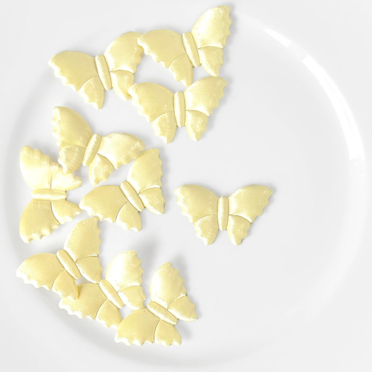 Satin_Puffy_Moth_Applique