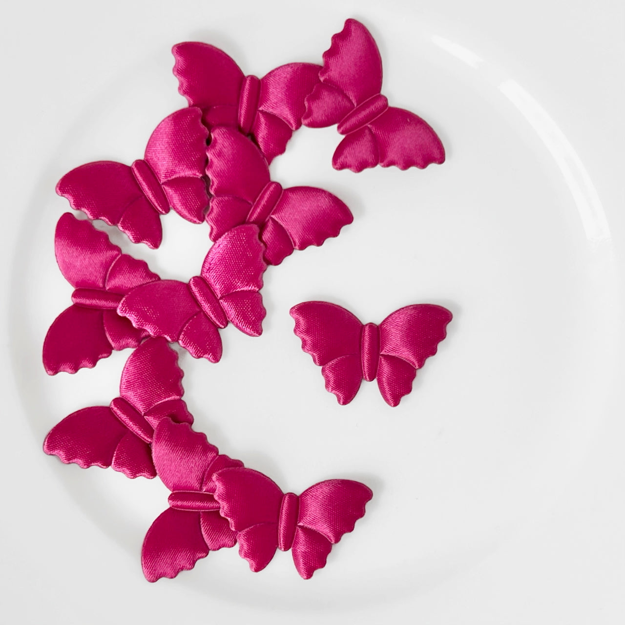 Satin_Puffy_Moth_Applique