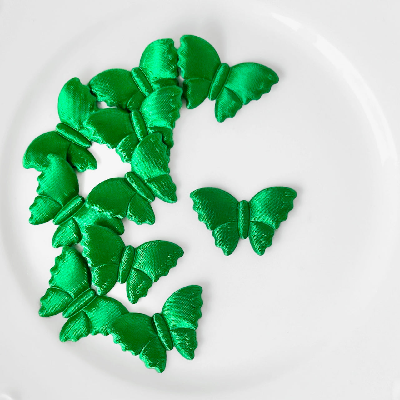 Satin_Puffy_Moth_Applique