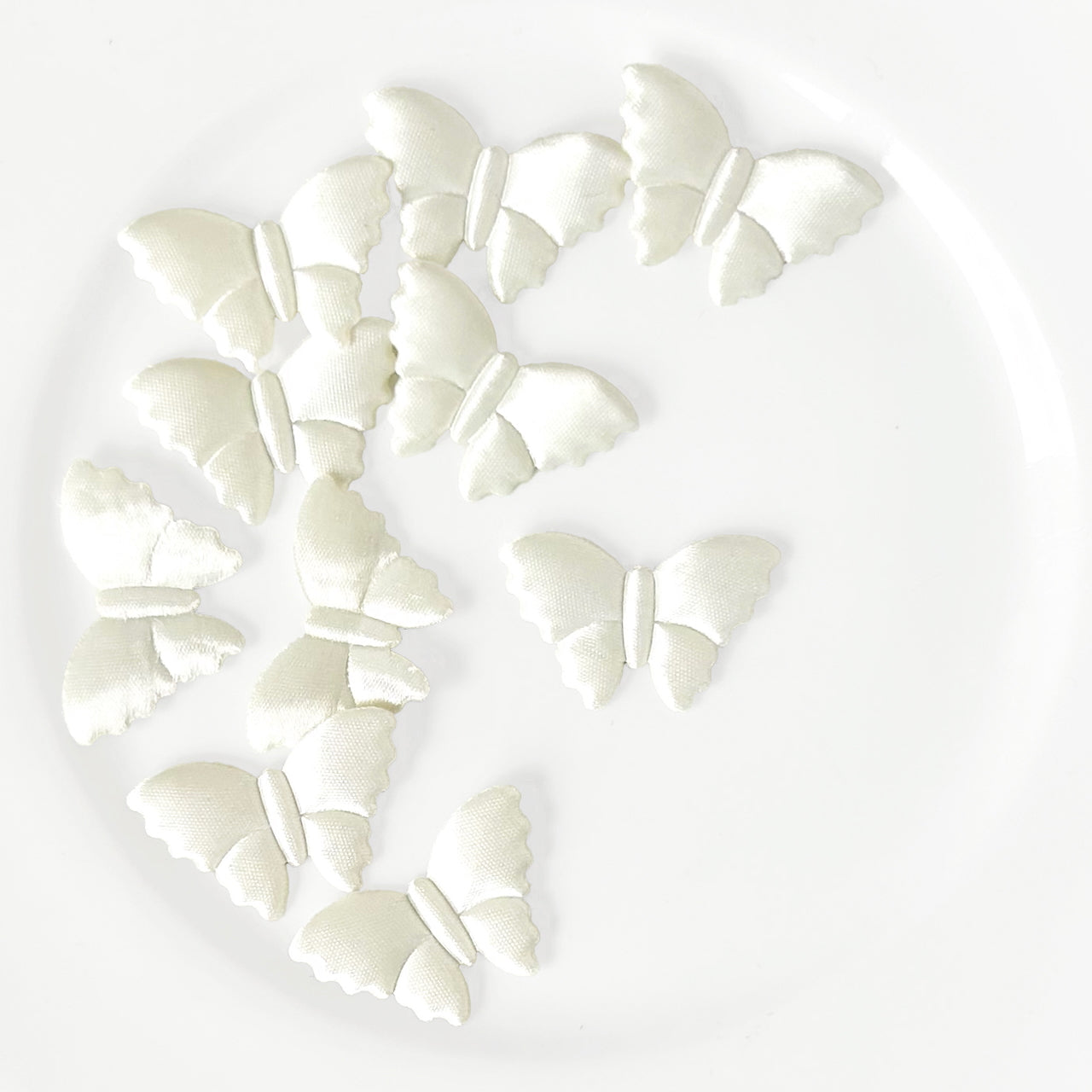 Satin_Puffy_Moth_Applique