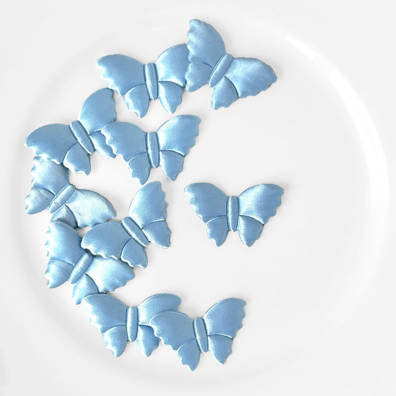 Satin_Puffy_Moth_Applique