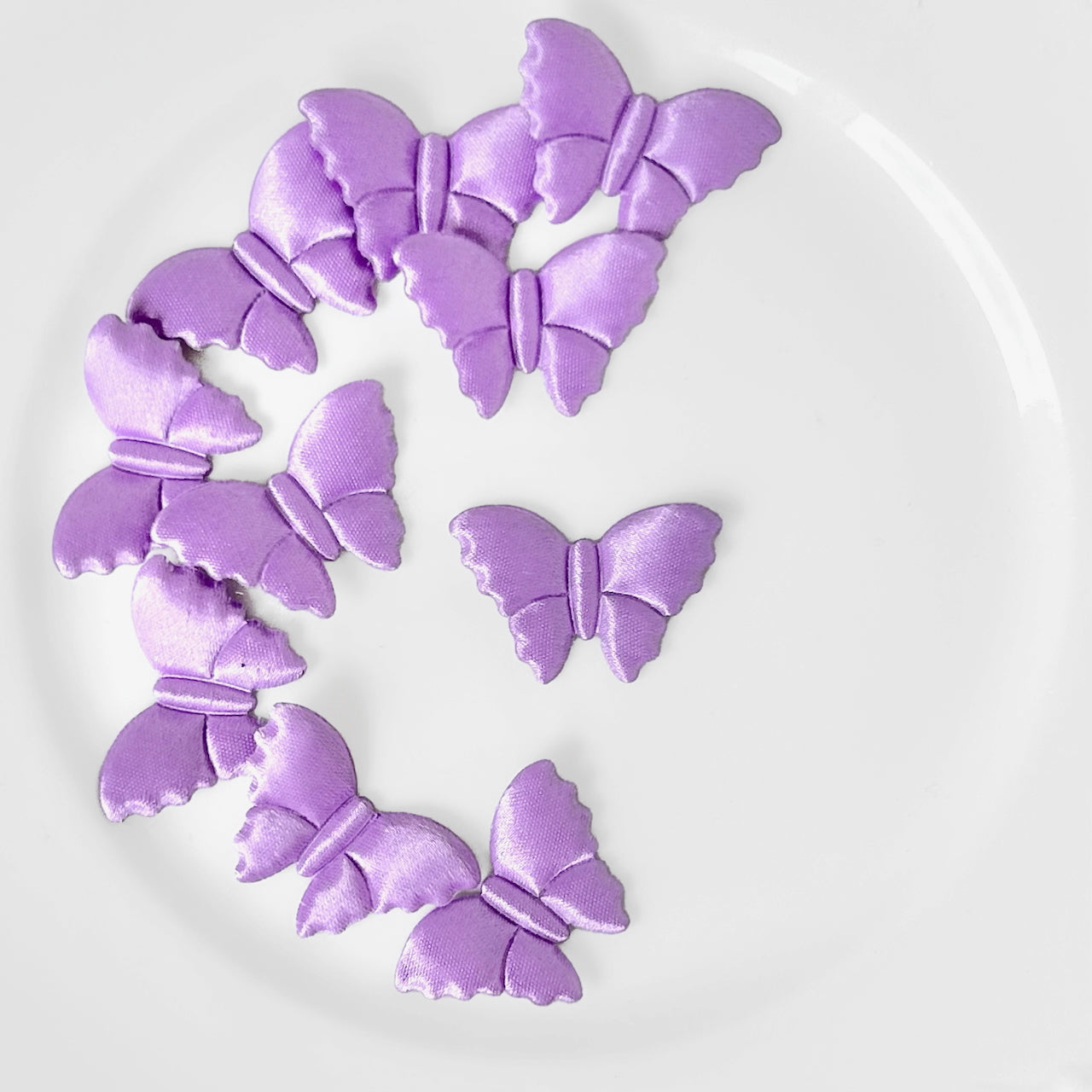 Satin_Puffy_Moth_Applique