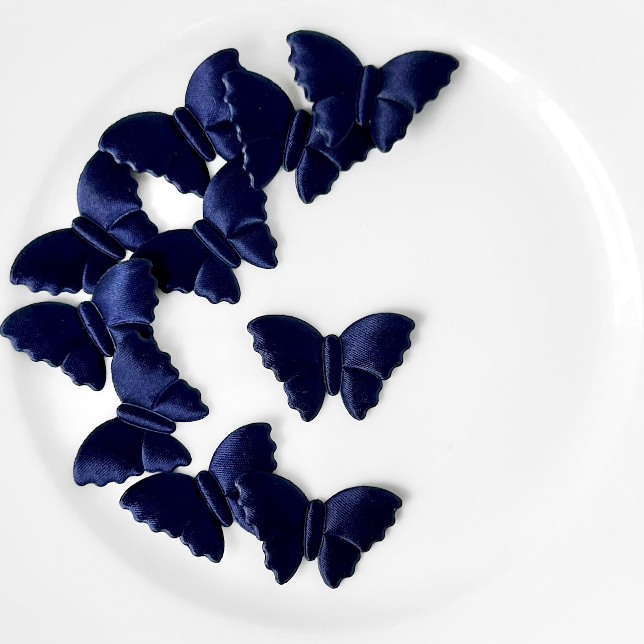 Satin_Puffy_Moth_Applique