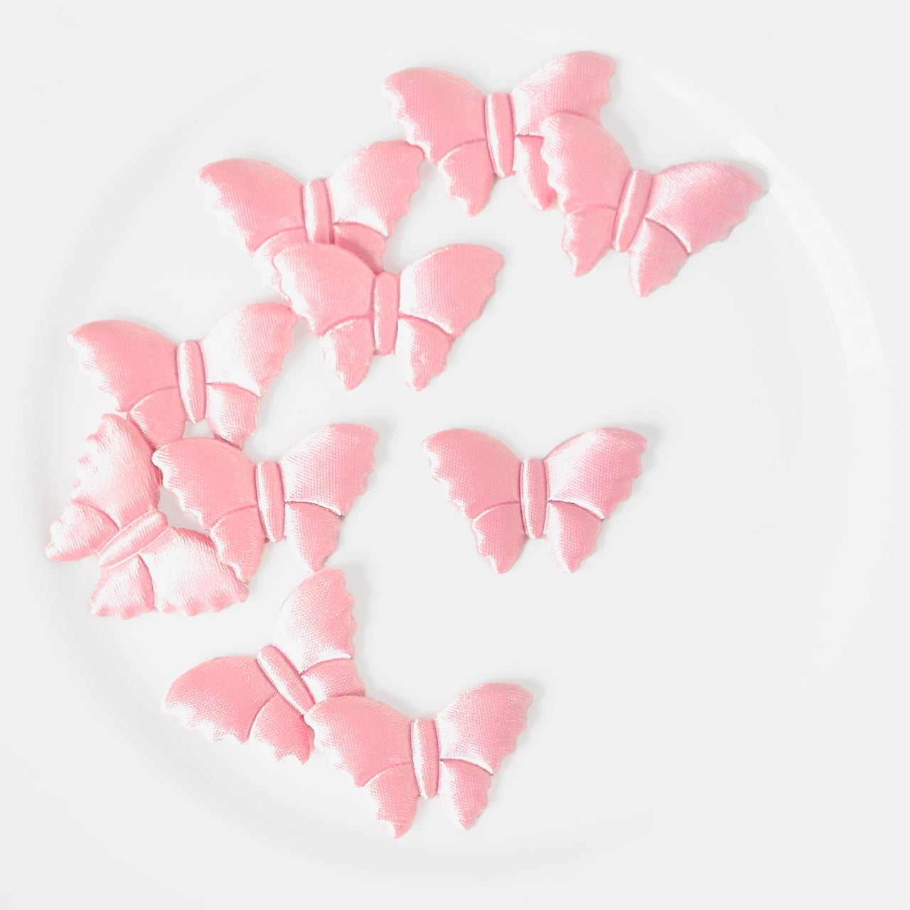 Satin_Puffy_Moth_Applique