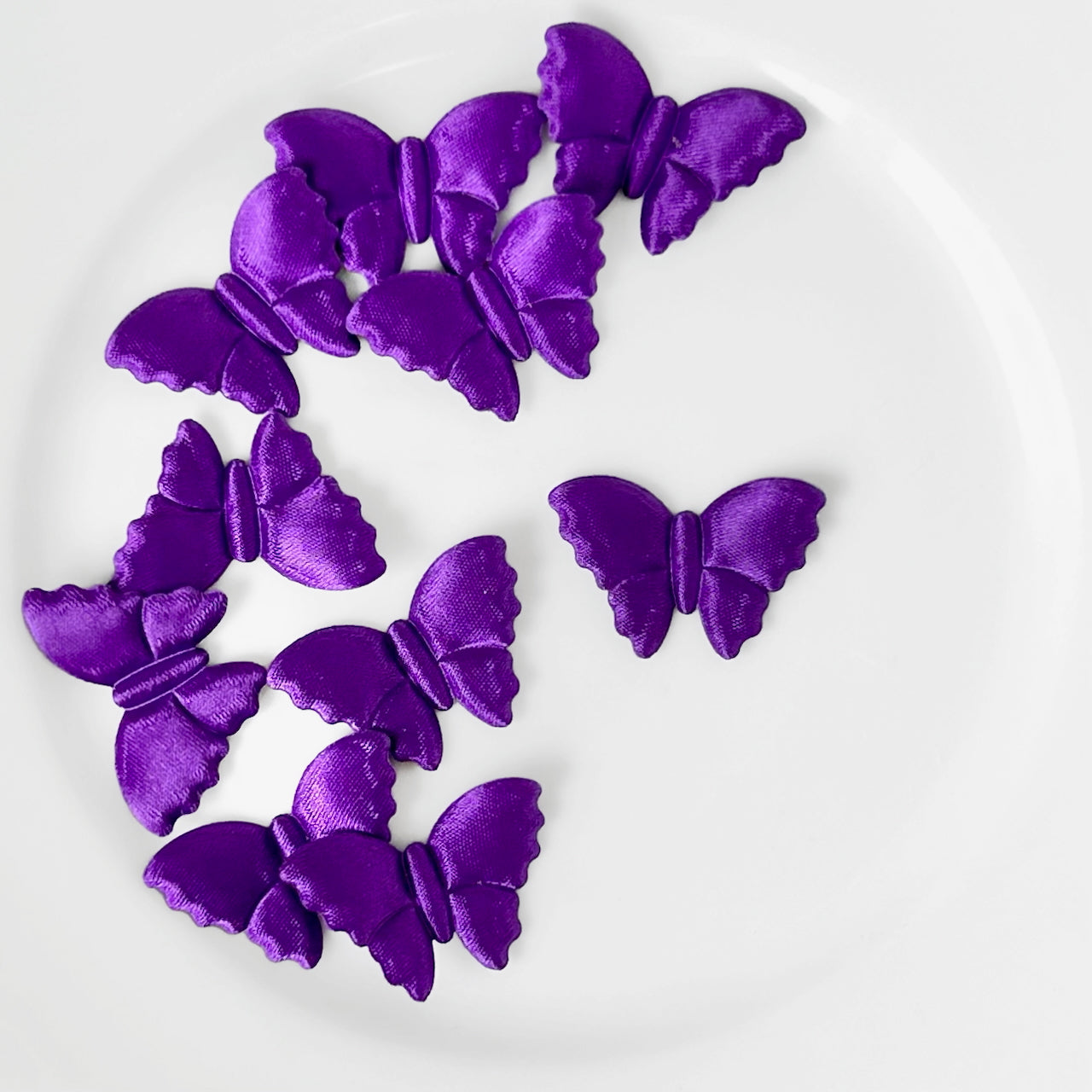 Satin_Puffy_Moth_Applique