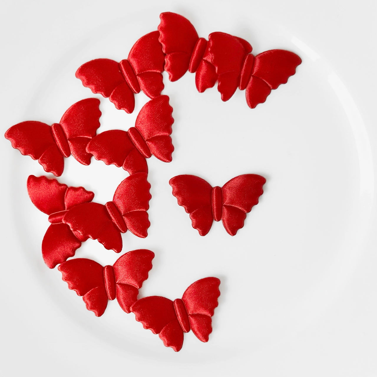 Satin_Puffy_Moth_Applique