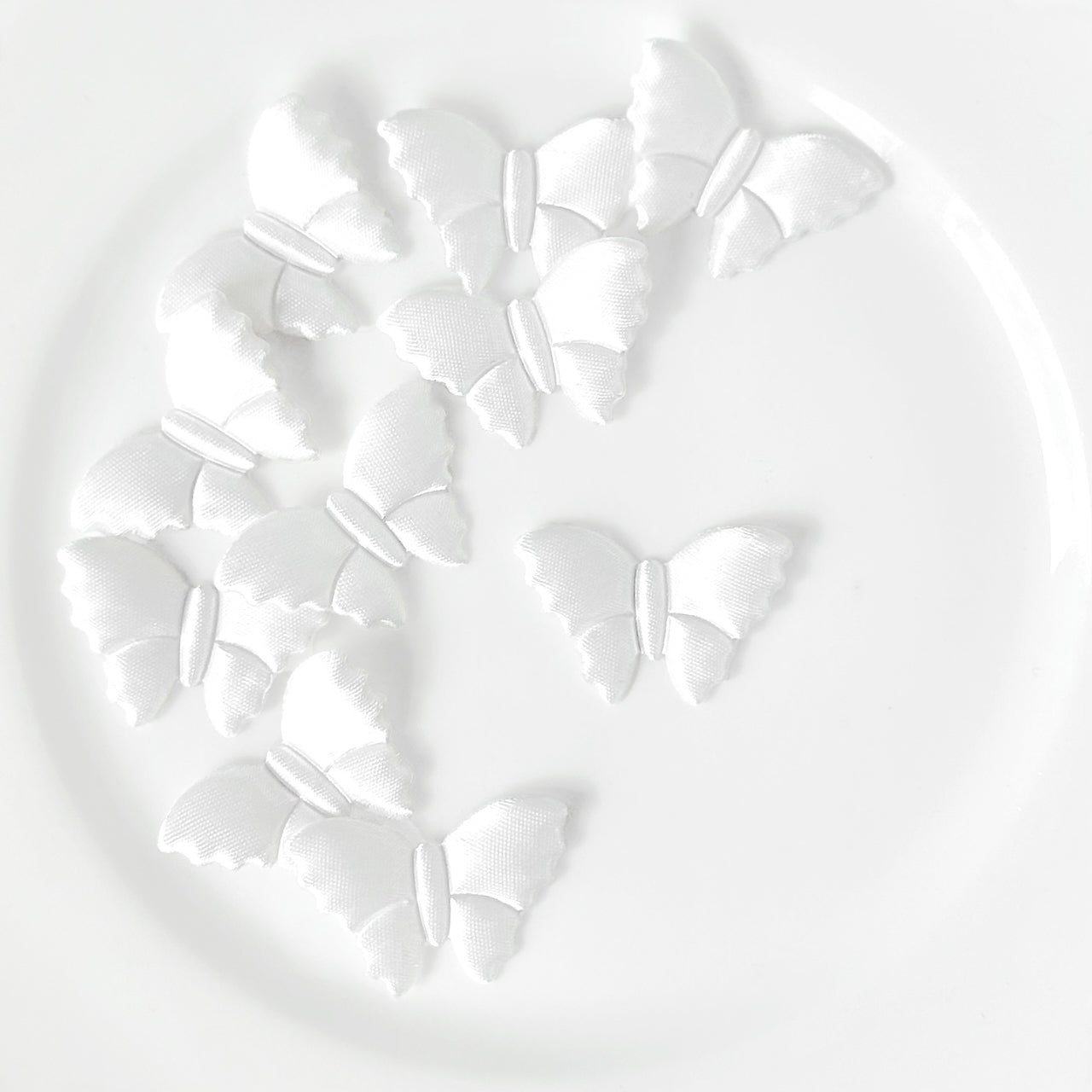 Satin_Puffy_Moth_Applique