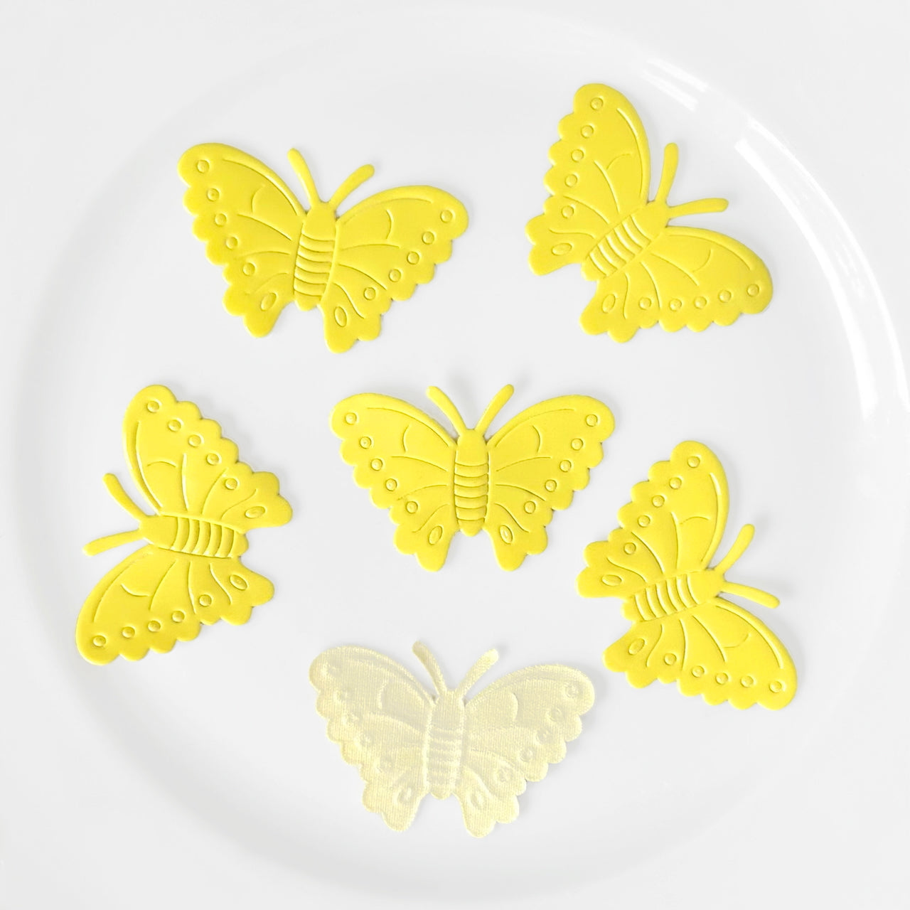 Shiny_Butterfly_Applique