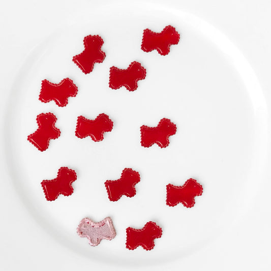 Shiny_Puppy_Applique