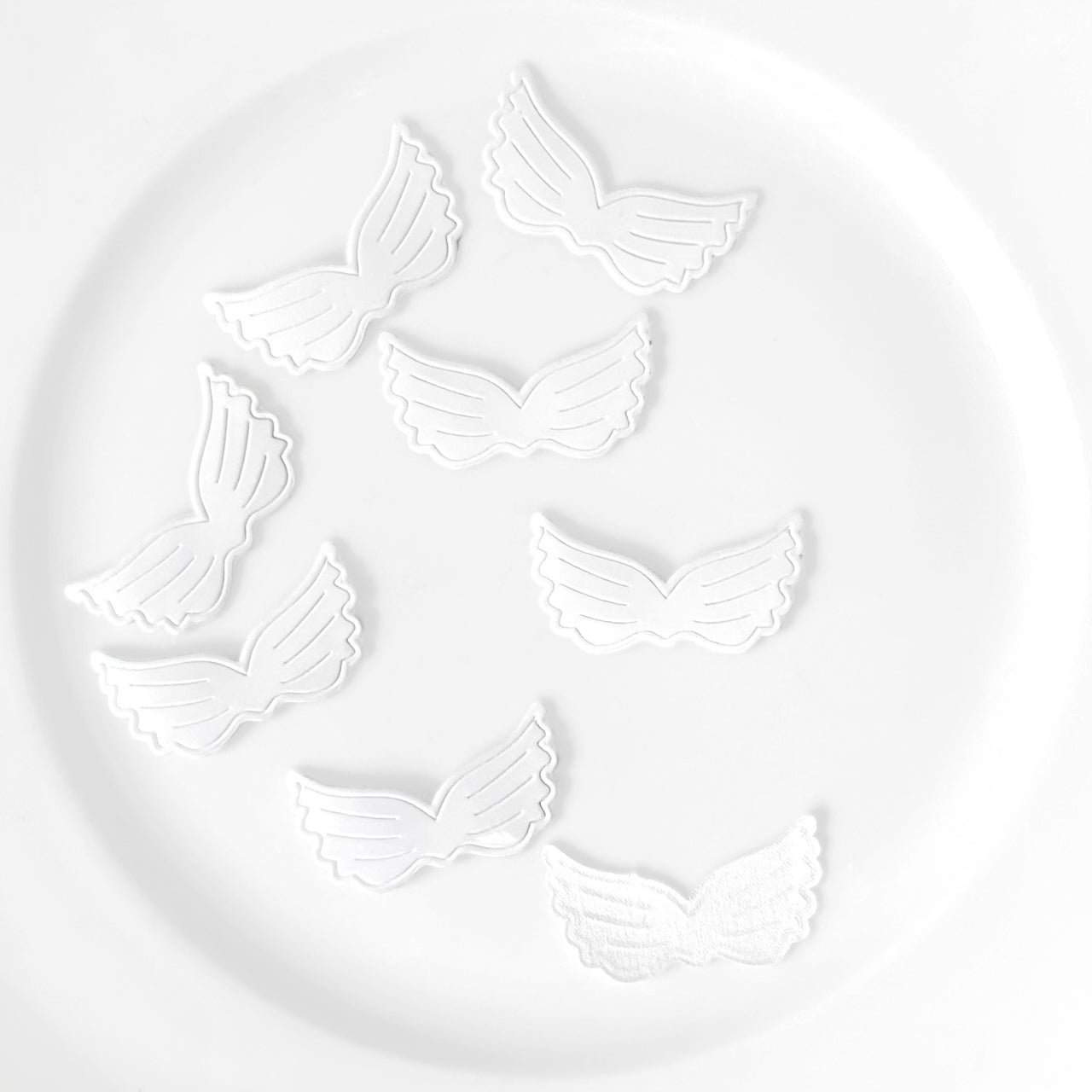 Shiny_Wing_Applique
