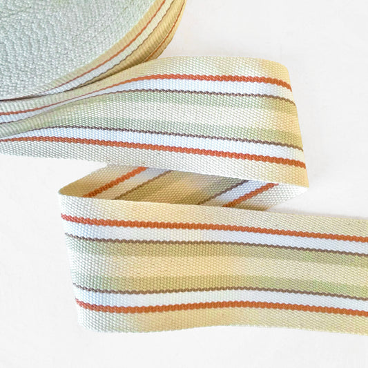 Striped_Webbing